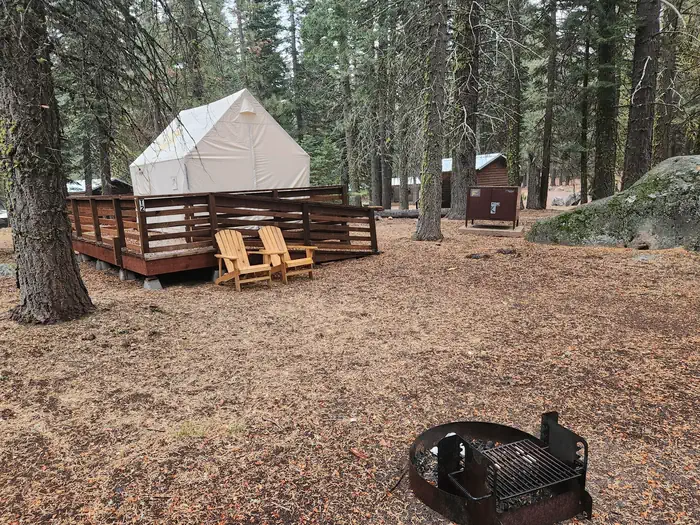 Manzanita Lake Camping Cabins (CA) photo 4