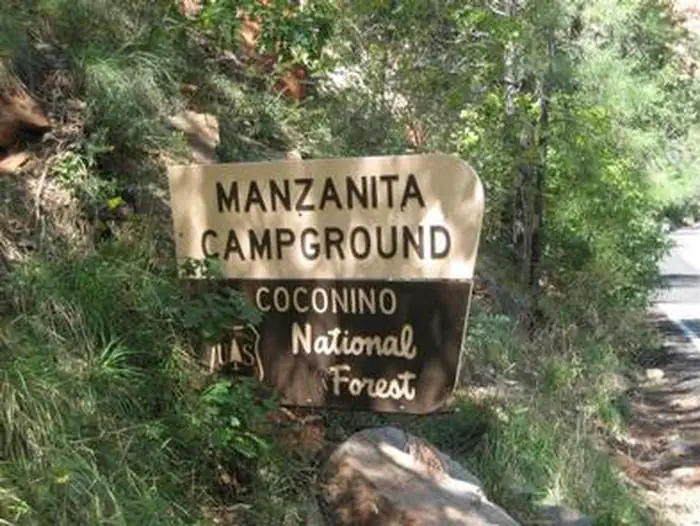 MANZANITA. photo