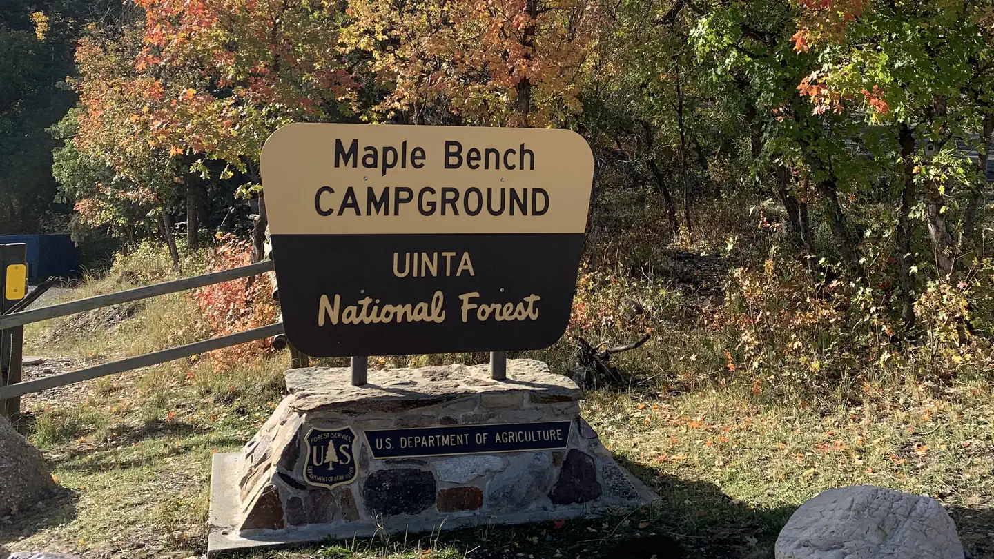 Maple Bench Campground photo