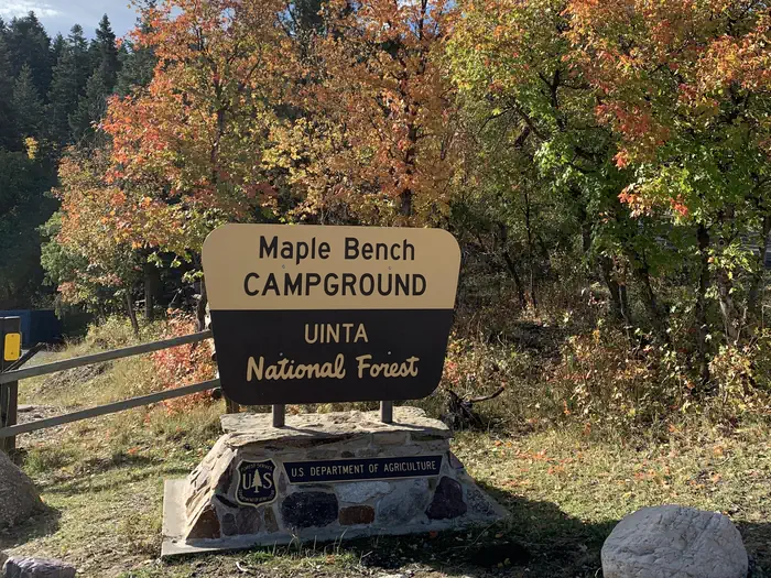 Maple Bench Campground photo 3