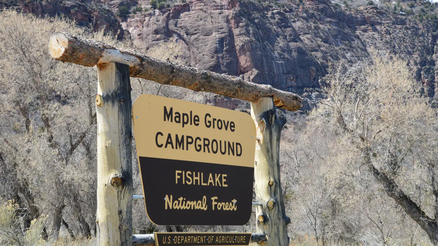 MAPLE GROVE photo
