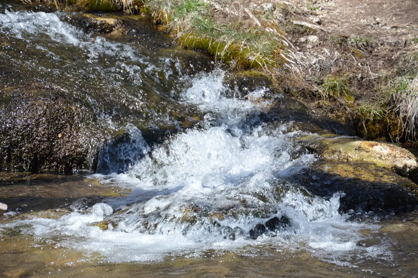 MAPLE GROVE photo 5