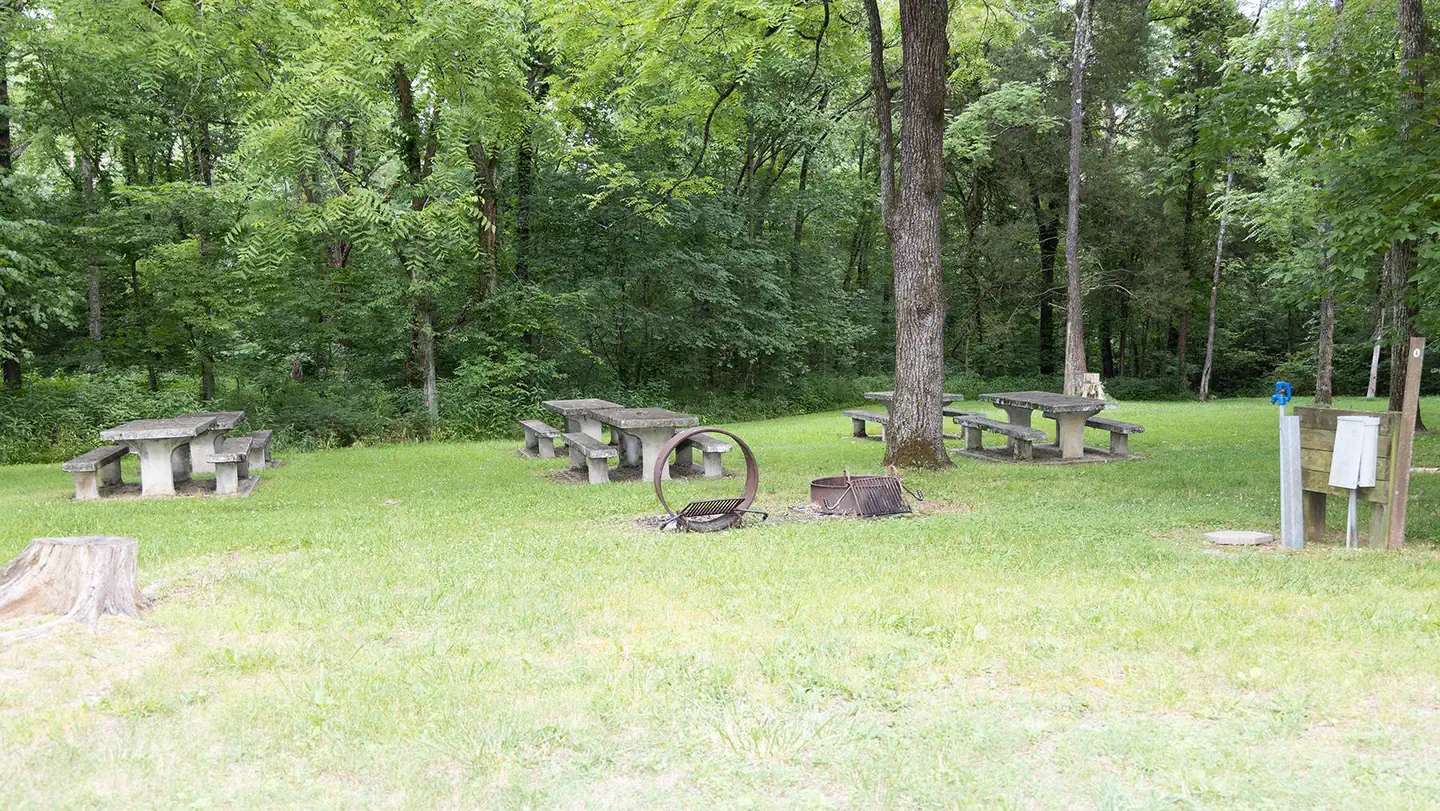 MAPLE SPRINGS photo