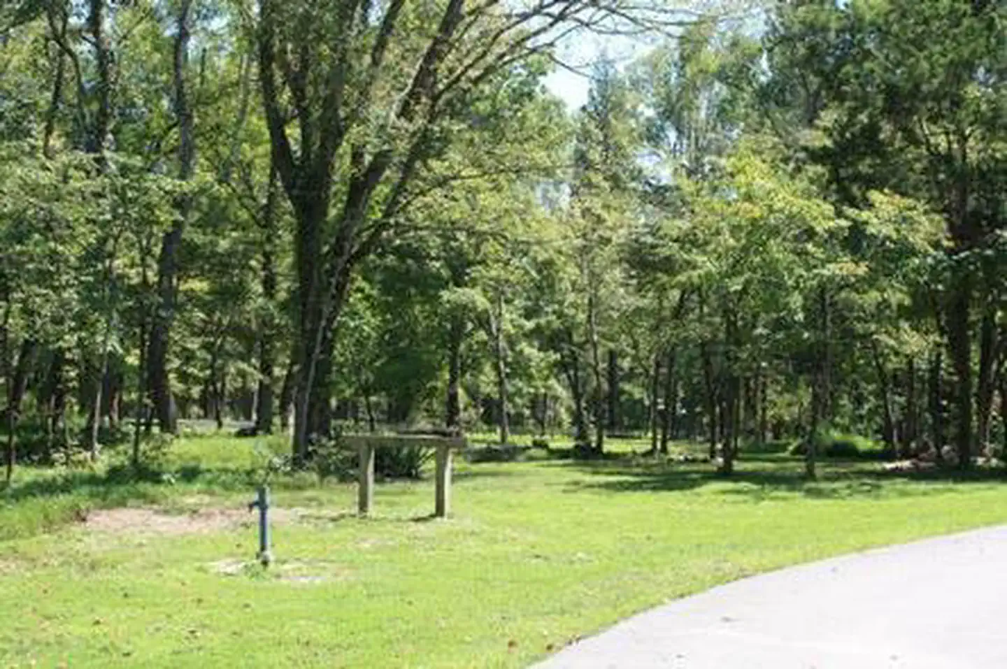 MAPLE SPRINGS photo 2