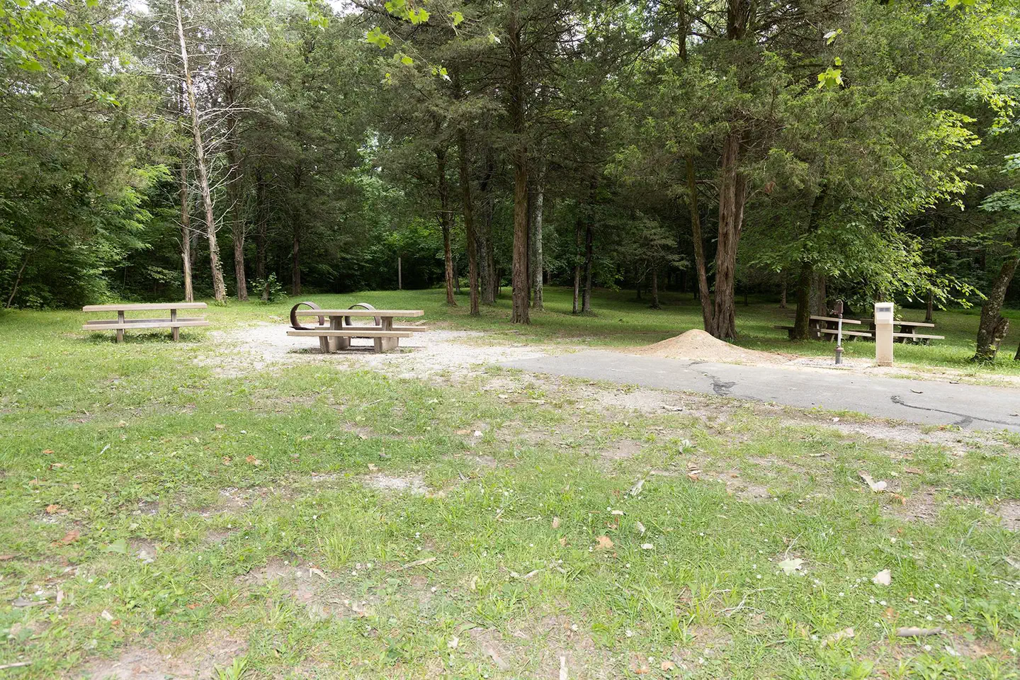 MAPLE SPRINGS photo 3