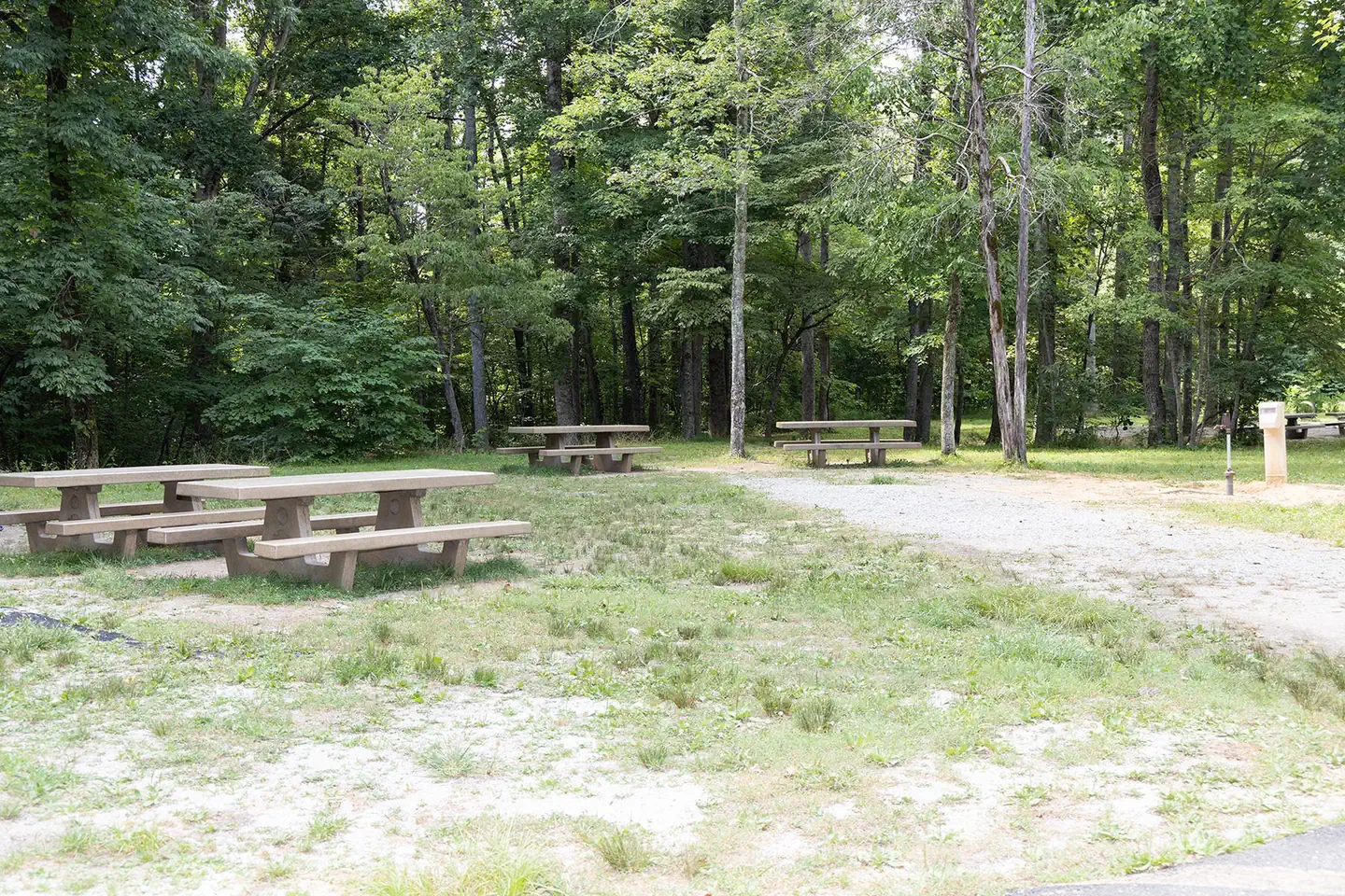 MAPLE SPRINGS photo 4