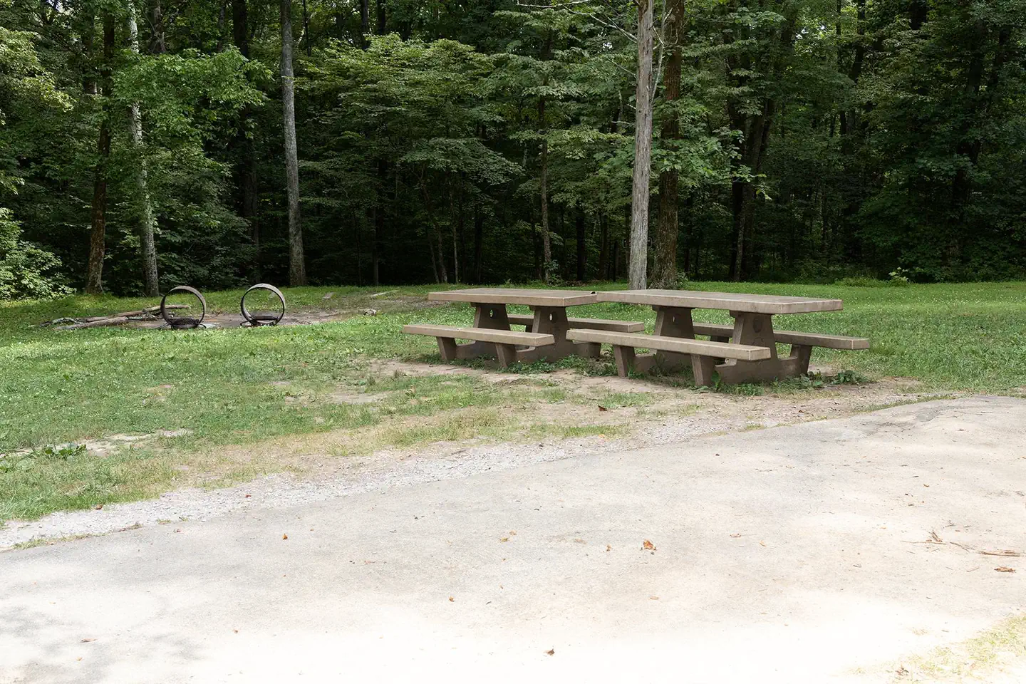 MAPLE SPRINGS photo 5