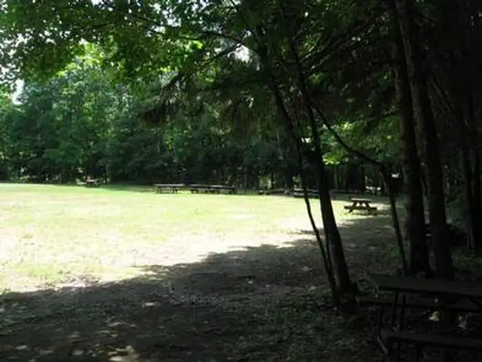 MARION LAKE GROUP SITE photo 3