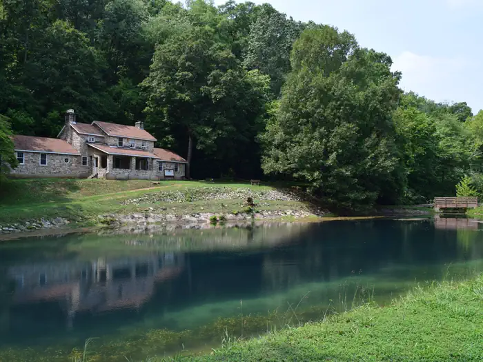 MARKHAM SPRINGS photo 4