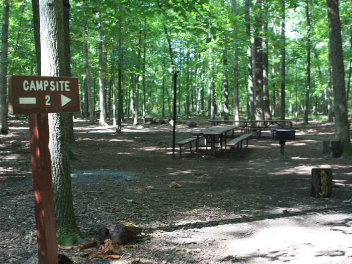 Marsden Tract Group Campsite photo 4