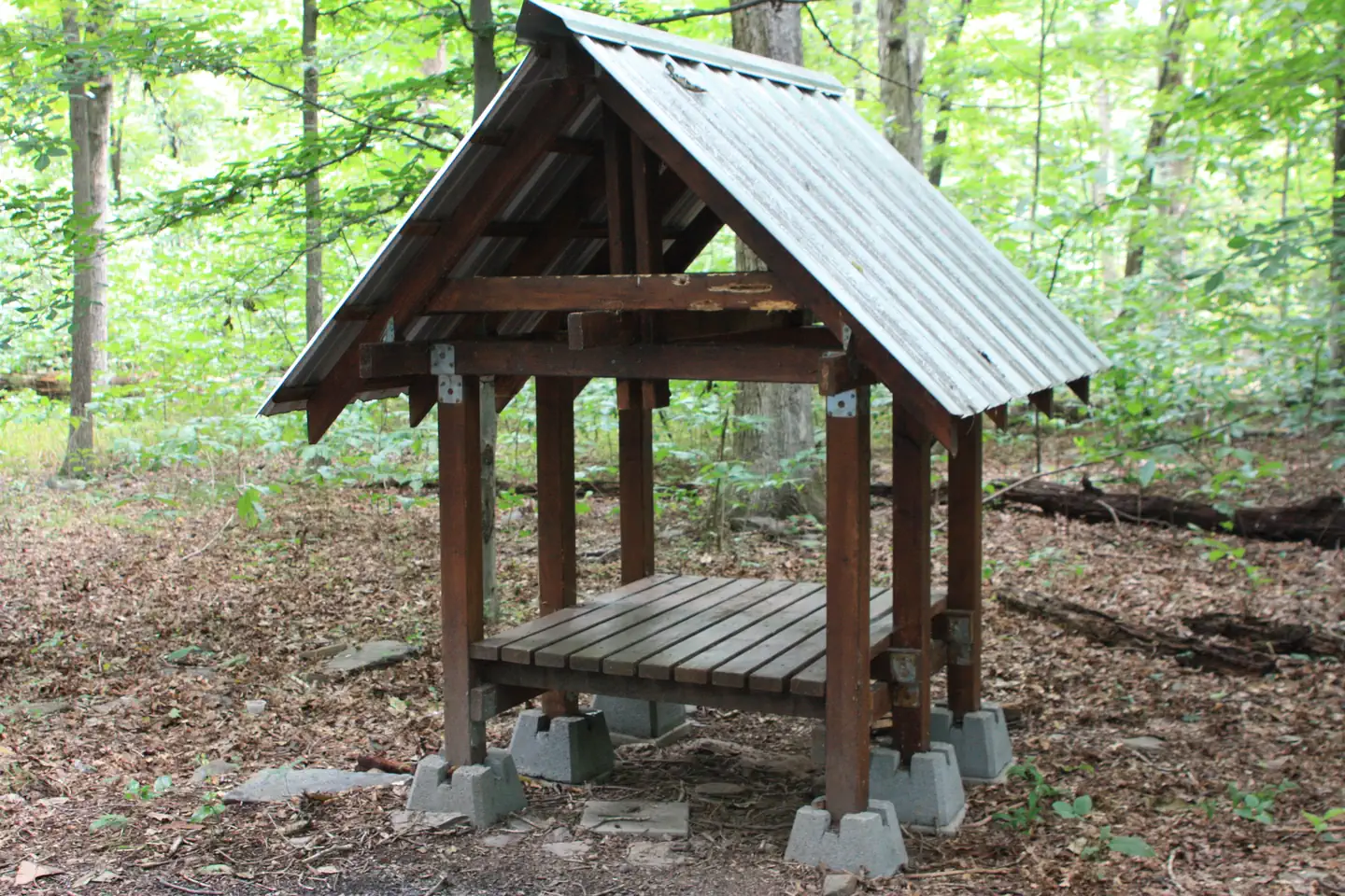 Marsden Tract Group Campsite photo 5