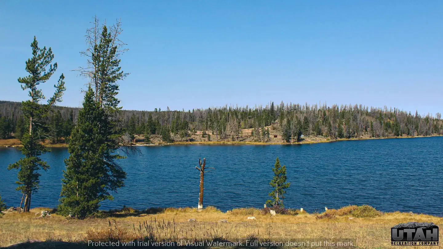 MARSH LAKE CAMPGROUND photo