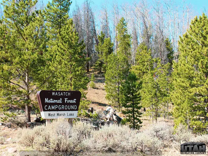 MARSH LAKE CAMPGROUND photo 3
