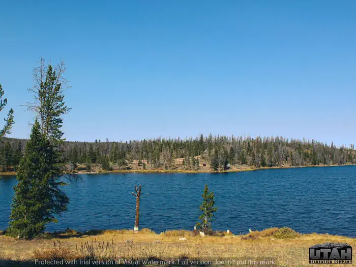 MARSH LAKE CAMPGROUND photo 4
