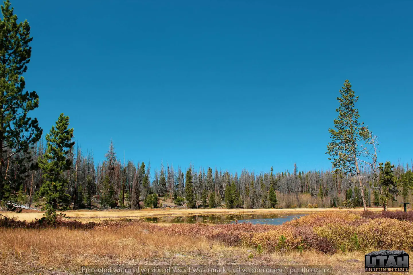 MARSH LAKE CAMPGROUND photo 5