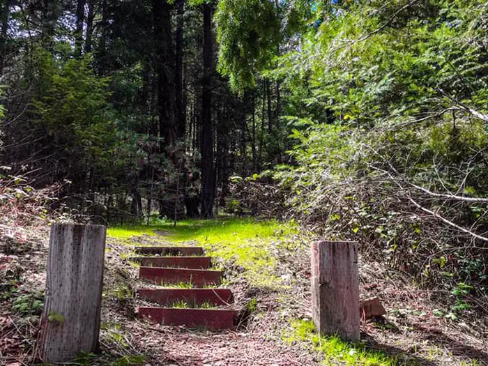 MARY SMITH CAMPGROUND photo 3