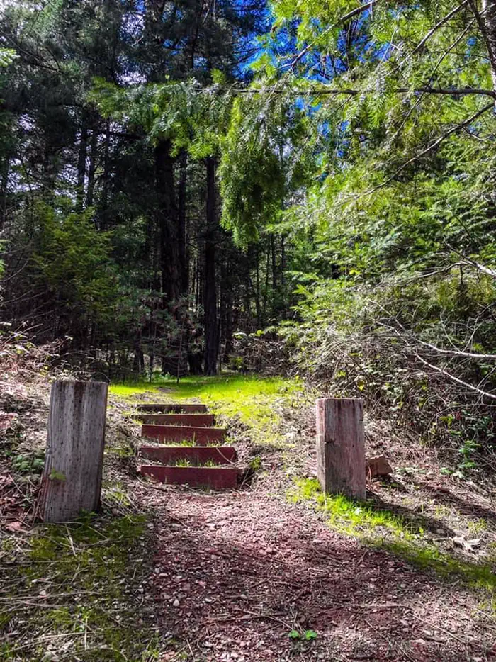 MARY SMITH CAMPGROUND photo 5