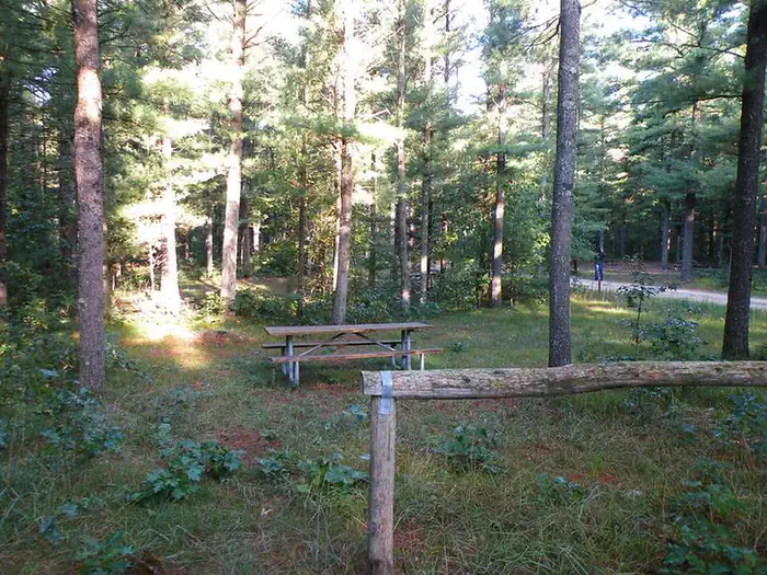 Marzinski Horse Campground photo 2