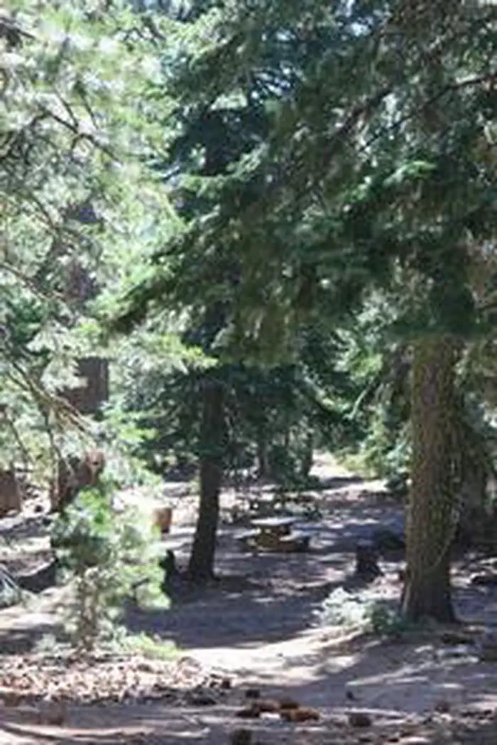 MASTERSON GROUP CAMPGROUND photo 5