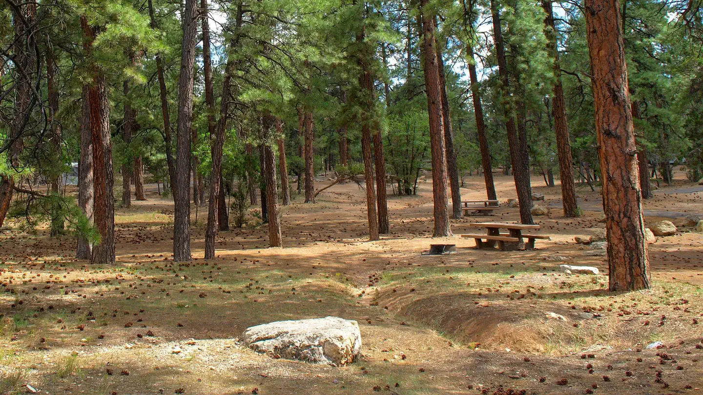 MATHER CAMPGROUND photo