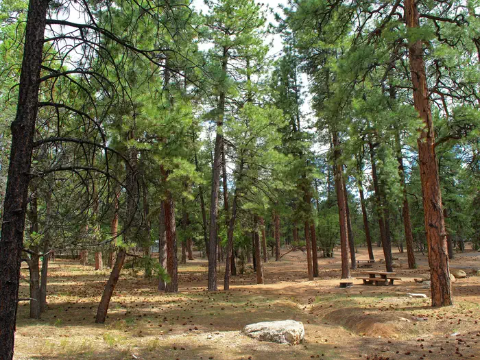 MATHER CAMPGROUND photo 3