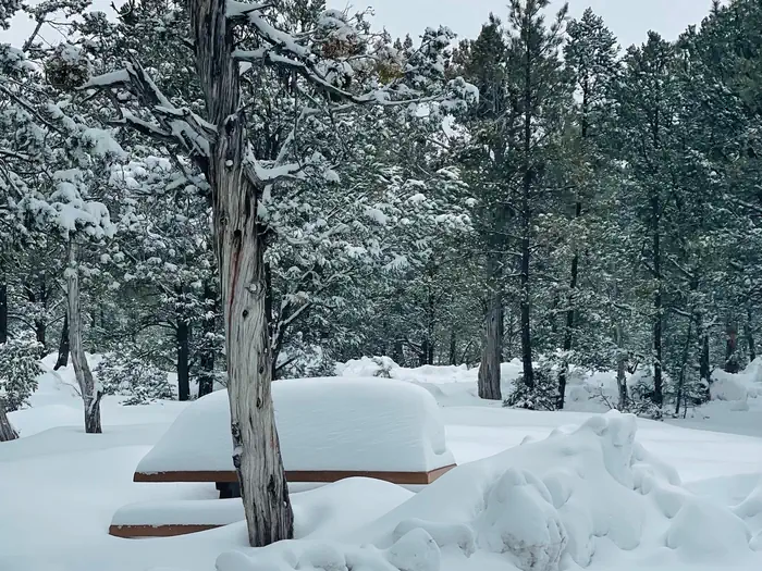 MATHER CAMPGROUND photo 5