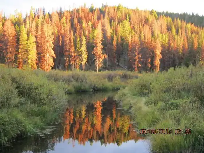 MAY CREEK CABIN photo 2
