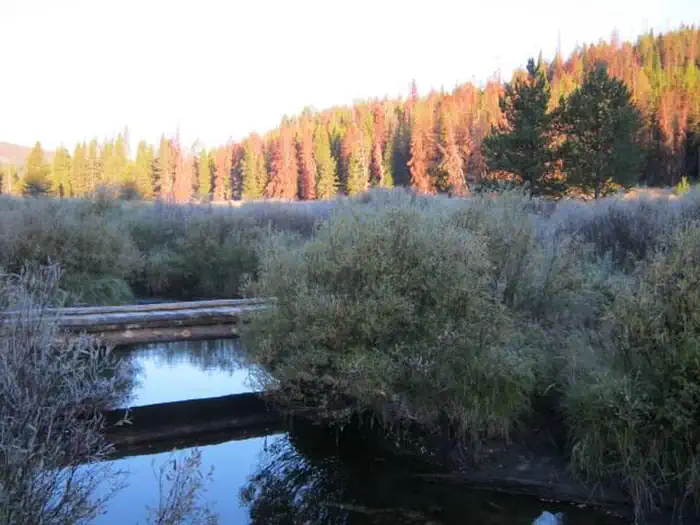 MAY CREEK CABIN photo 4
