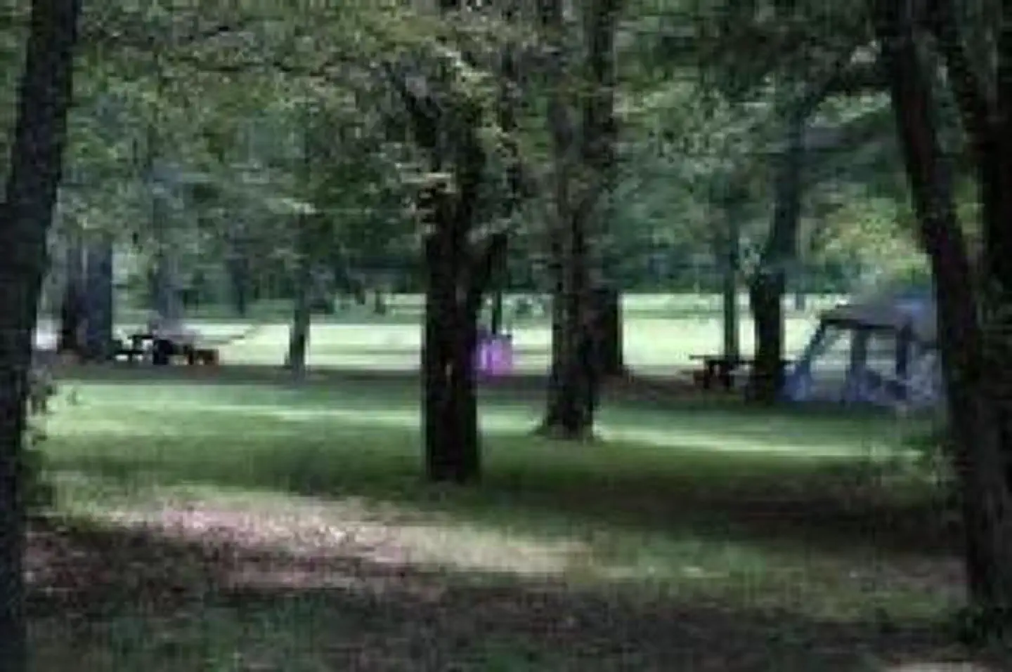 MCCLINTIC POINT photo 4