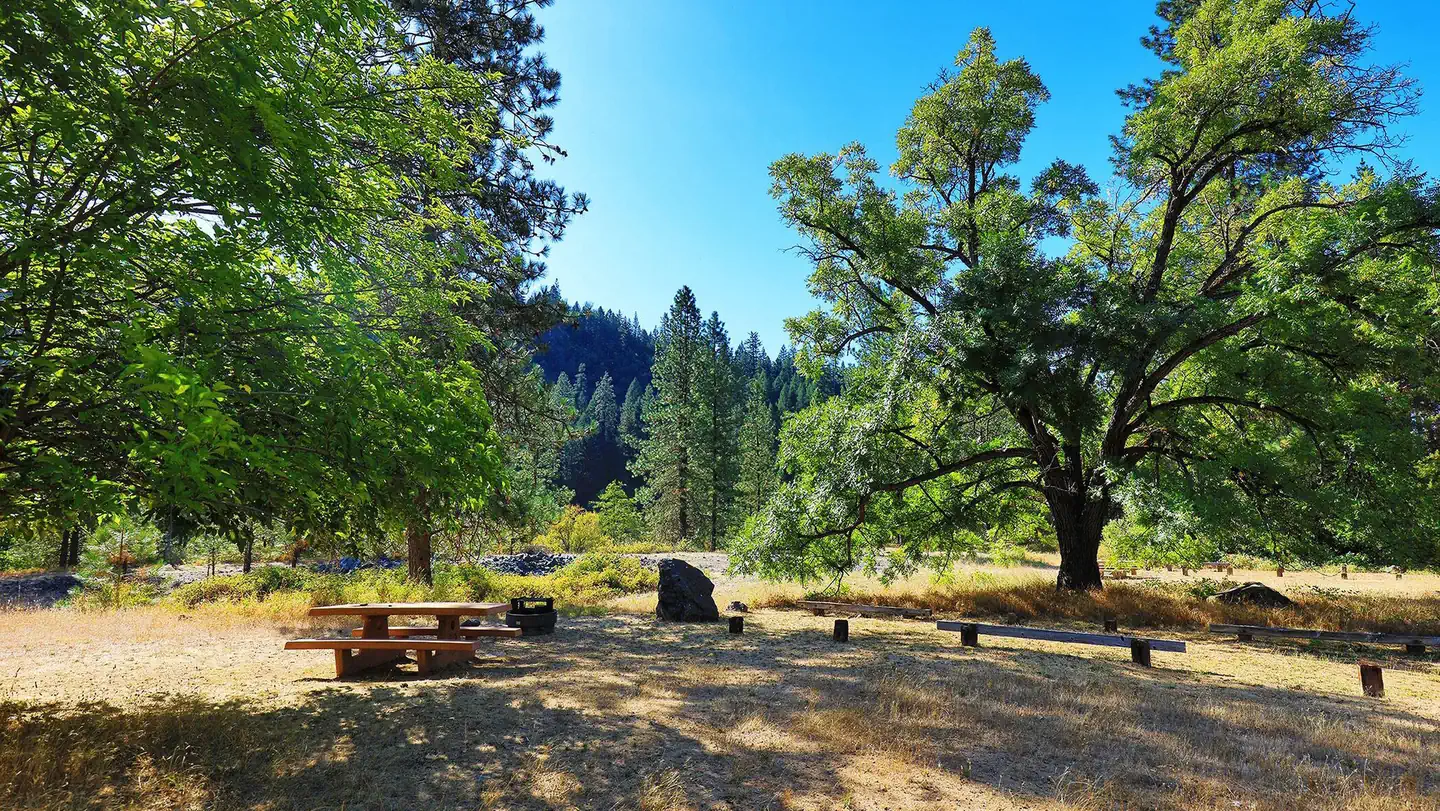 MCCLOUD BRIDGE photo