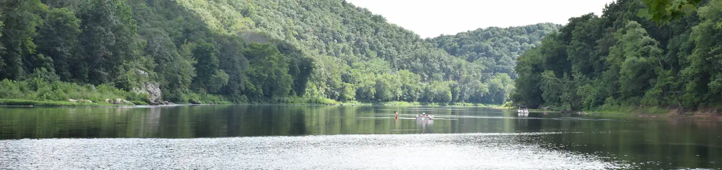 McCoy's Ferry Campground photo