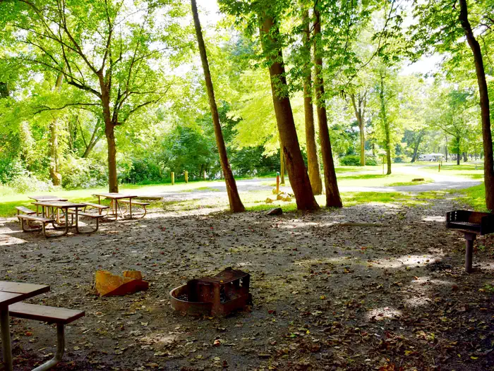 McCoy's Ferry Campground photo 3