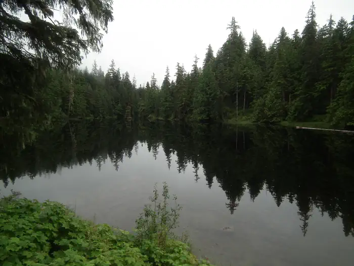 MCDONALD LAKE CABIN photo 2