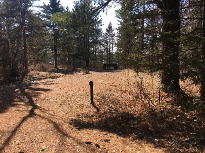 McDougal Lake Campground photo