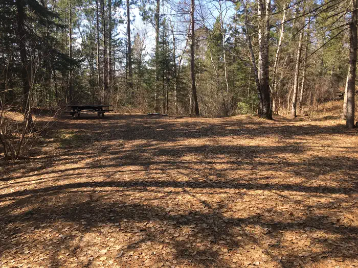 McDougal Lake Campground photo 2