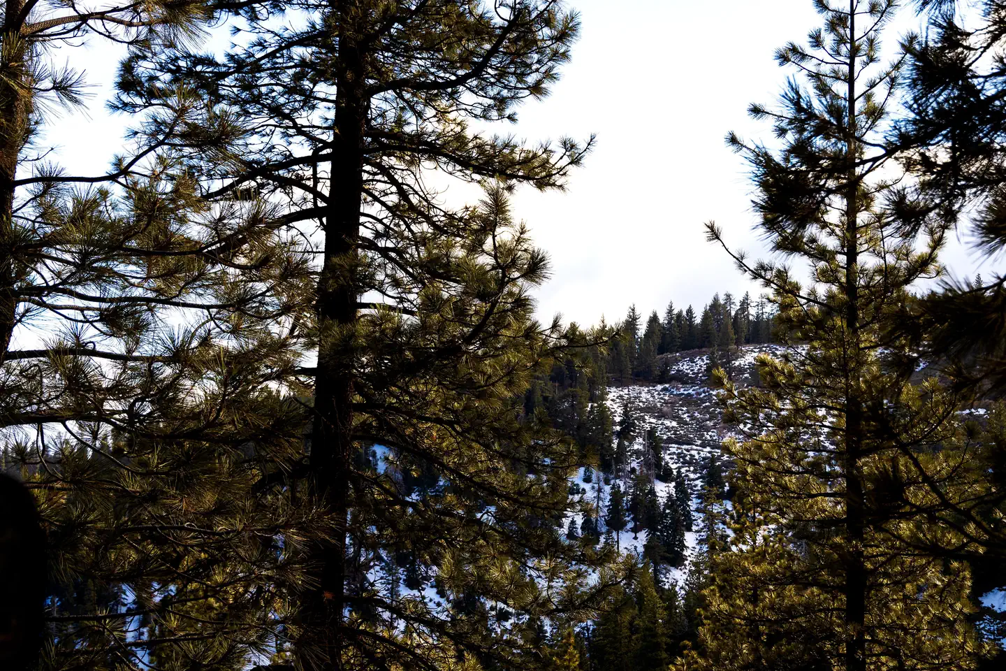 MCGILL CAMPGROUND AND GROUP CAMPGROUND photo 2