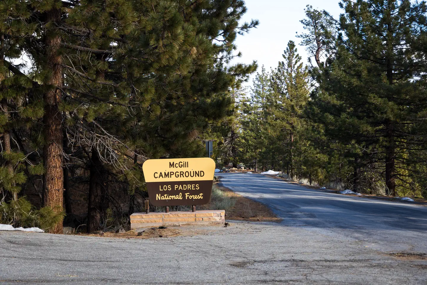 MCGILL CAMPGROUND AND GROUP CAMPGROUND photo 3