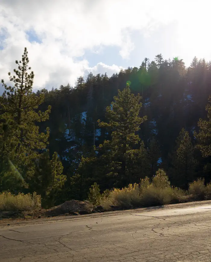 MCGILL CAMPGROUND AND GROUP CAMPGROUND photo 4
