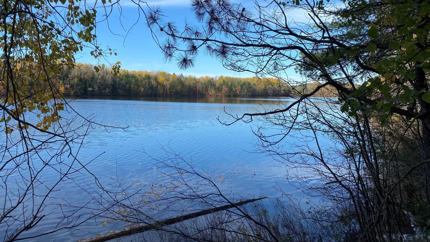 MCKEEVER CABIN photo