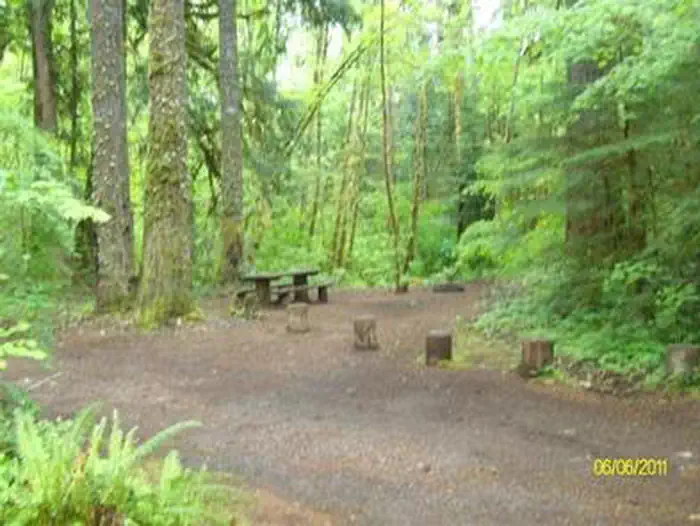 MCKENZIE BRIDGE photo 5