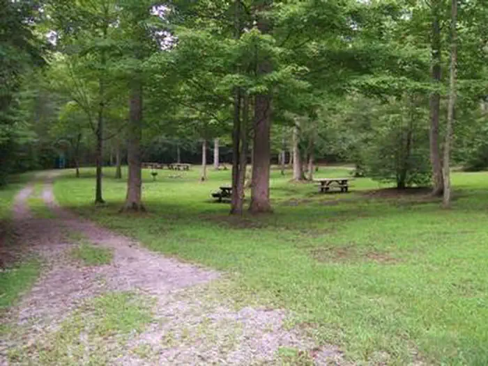 MCNABB CREEK GROUP photo 3