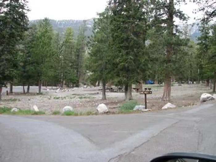 MCWILLIAMS photo 2