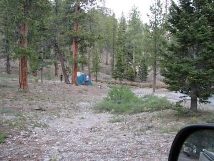 MCWILLIAMS photo 3