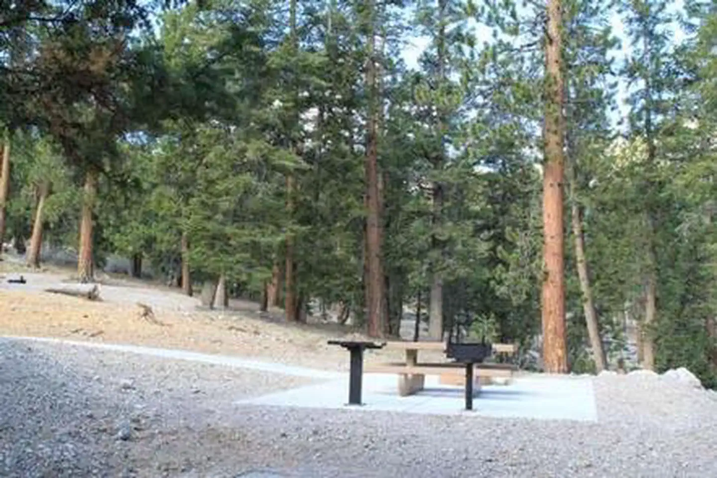 MCWILLIAMS photo 5