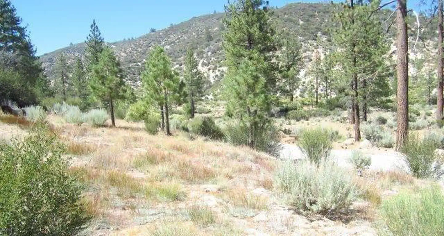 MEADOW GROUP CAMPGROUND photo