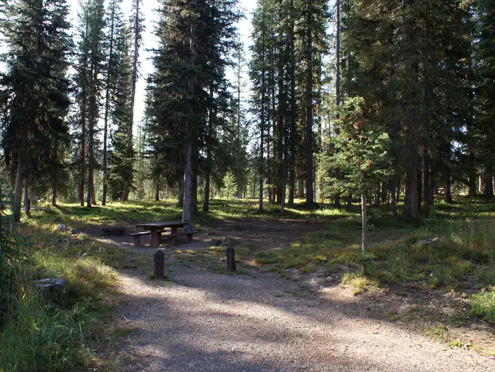 Meadows Campground (CO) photo 2