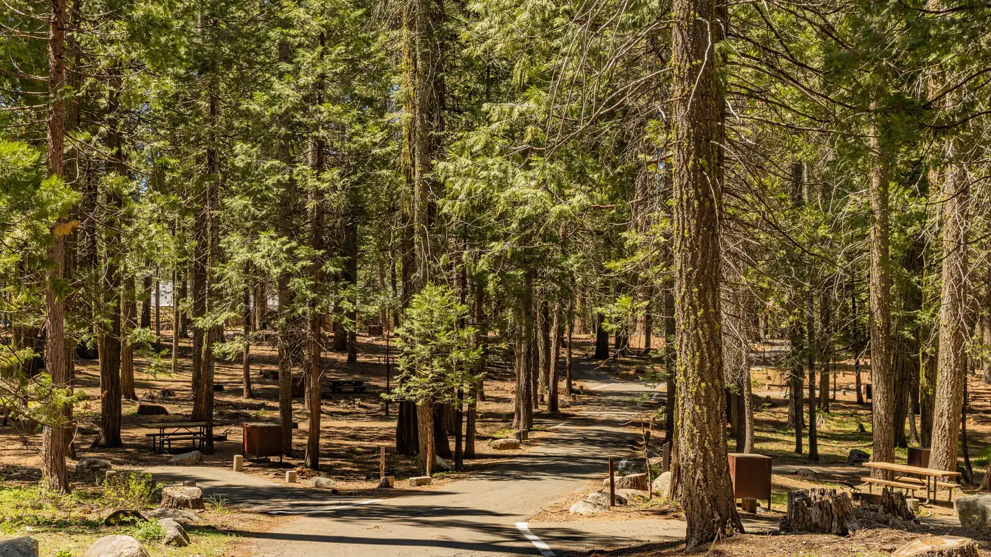 Meadowview Campground photo