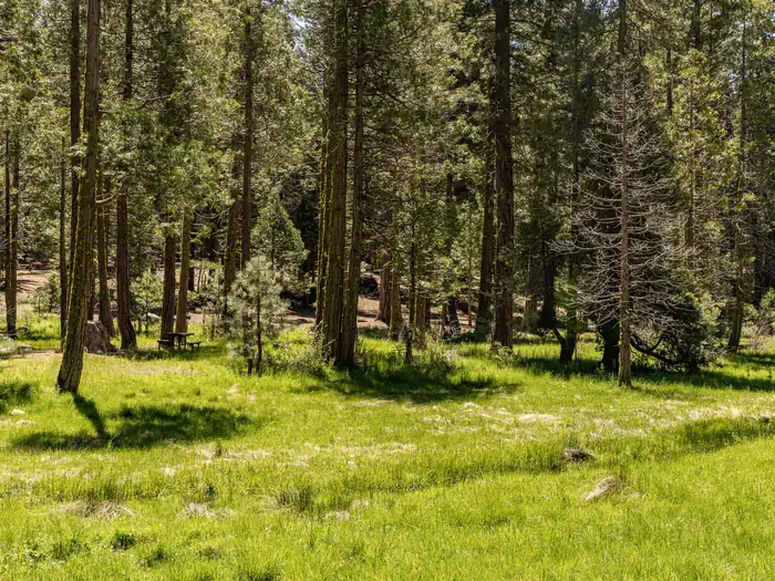 Meadowview Campground photo 2