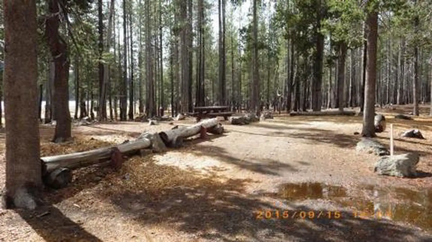 MEDICINE LAKE RECREATION AREA photo 4