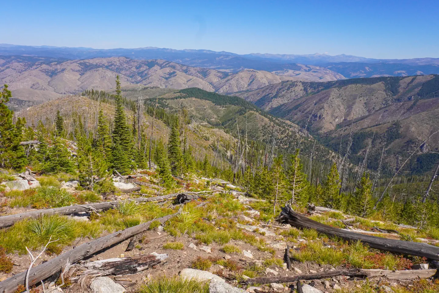 MEDICINE POINT LOOKOUT photo 4